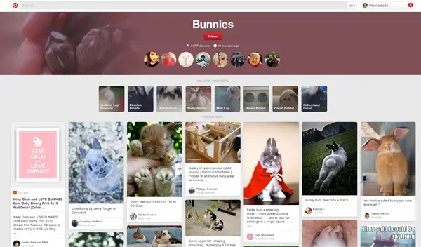 Bunnies category on Pinterest. So cute!