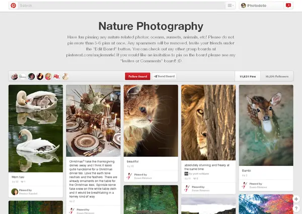 Nature Photography Group Board by Marie Nagle