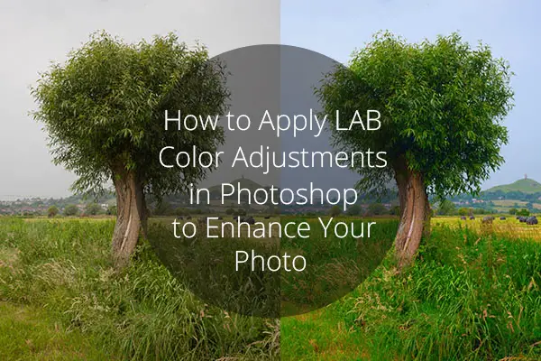 How to Apply LAB Color Adjustments in Photoshop to Enhance Your Photo