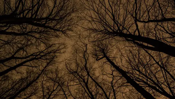 Photo by Paul Faecks