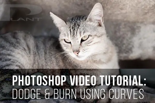 Photoshop Video Tutorial: Dodge & Burn Using Curves