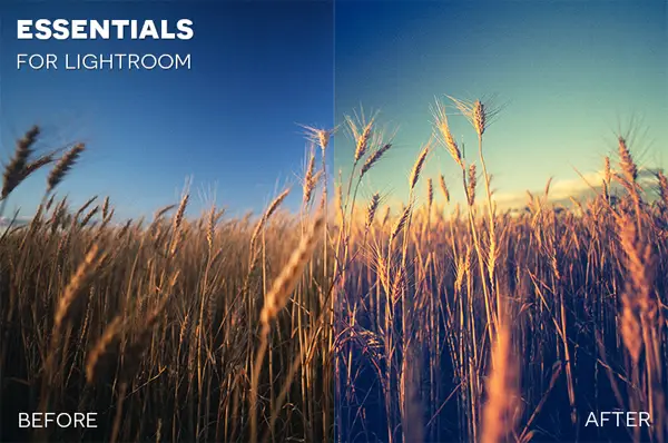 free Lightroom presets