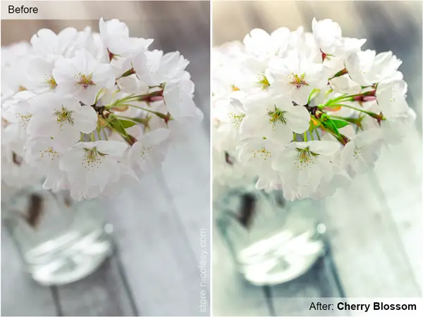 Chery Blossom Lightroom presets