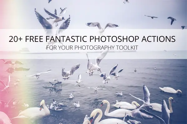 20+ Fantastic Free Photoshop Actions for Your Photography Toolkit