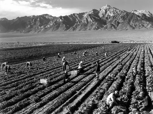 photo by Ansel Adams