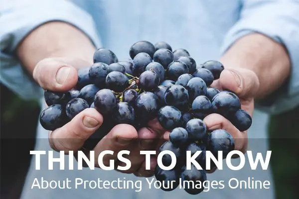 Things to Know About Protecting Your Images Online