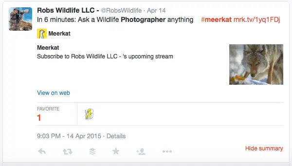 1-periscope-and-meerkat-for-photographers