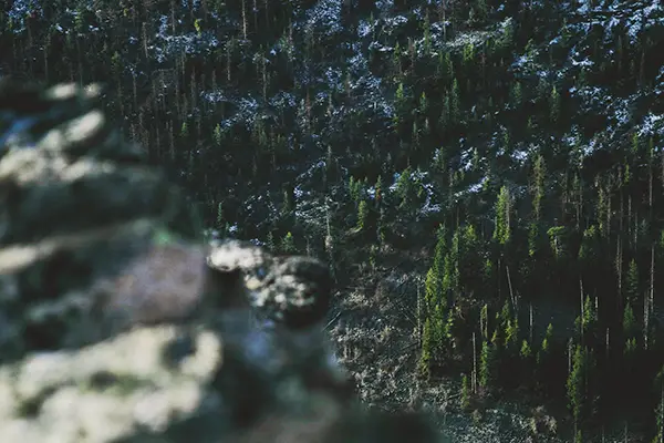 Photo by Unsplash