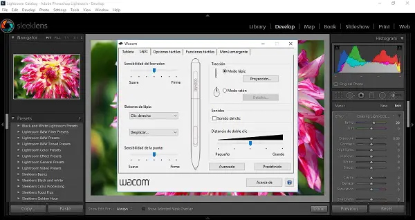 Photographer's Guide to Using Tablets for Lightroom Editing - Photodoto