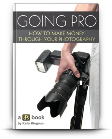 Going Pro Ebook for Photographers