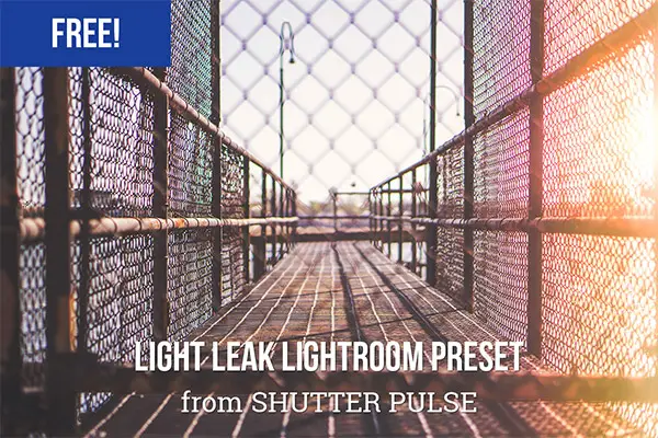 Free & Premium Lightroom Presets No Photographer Should Miss 