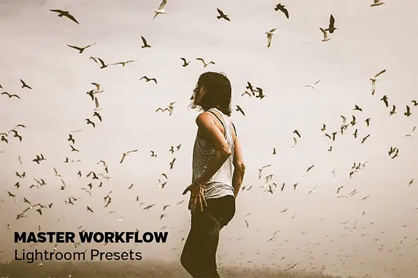 Free & Premium Lightroom Presets No Photographer Should Miss 