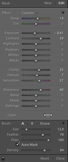 Lightroom Local Adjustment Brush Settings