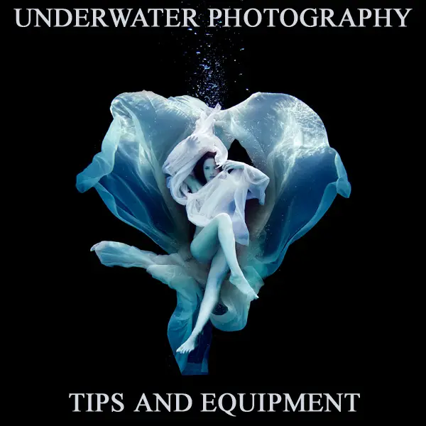 Underwater Photography: Tips And Equipment