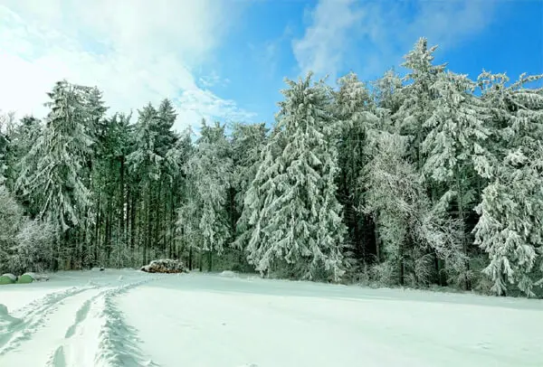 winter landscape 2