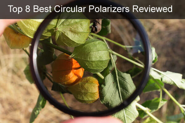 Top 8 Best Circular Polarizers Reviewed
