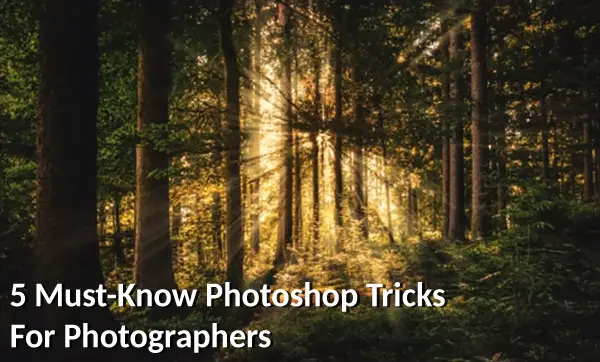 5 Must-Know Photoshop Tricks For Photographers
