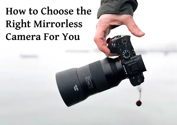 How to Choose the Right Mirrorless Camera For You