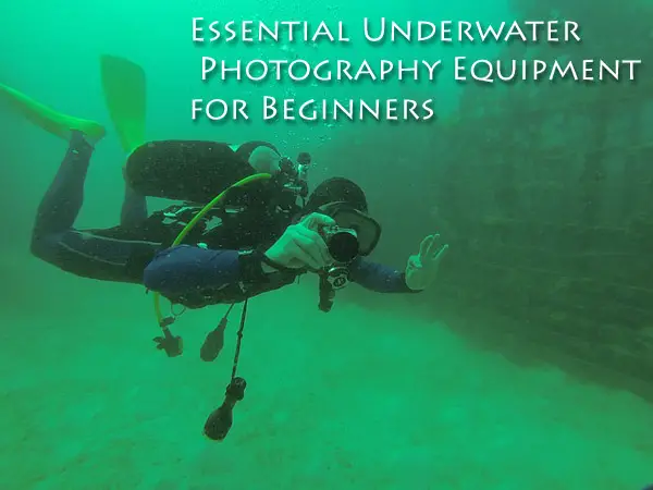 What is the Essential Underwater Photography Equipment for Beginners?