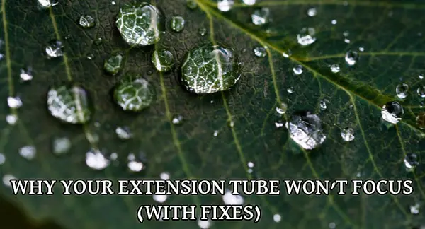 Why Your Extension Tube Won’t Focus (With Fixes)