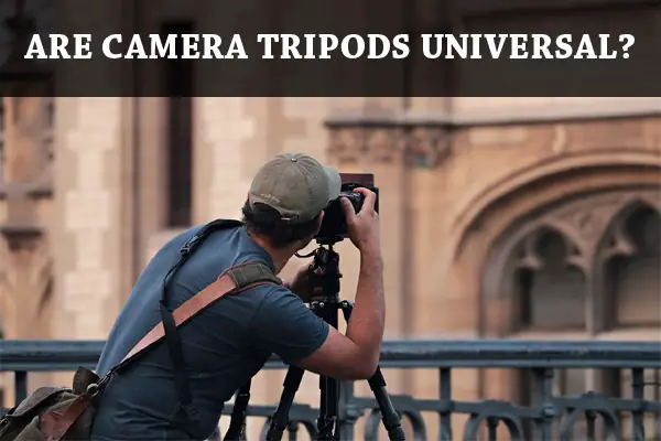 Are Camera Tripods Universal?