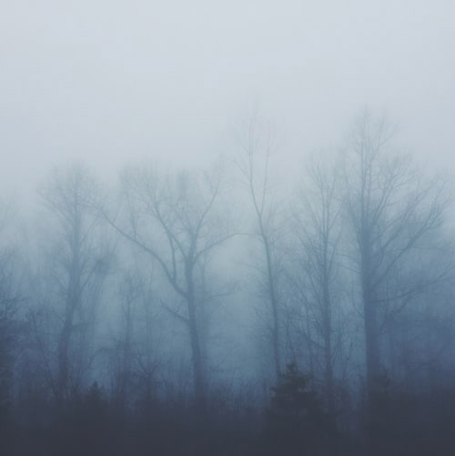 night-fog-2