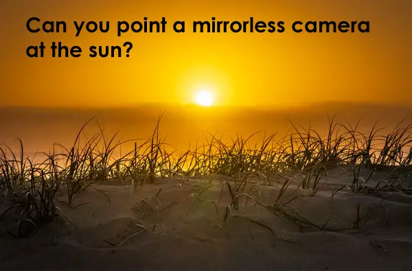 Can you Point a Mirrorless Camera at the Sun?