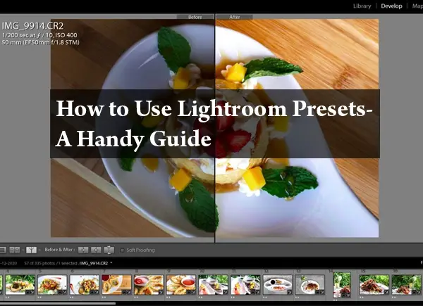 How to Use Lightroom Presets- A Handy Guide