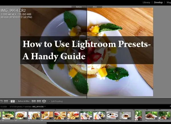 lightroom-presets-howto-1