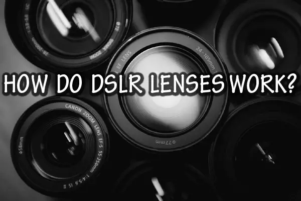 How DSLR Lenses Work: DSLR Lenses Explained
