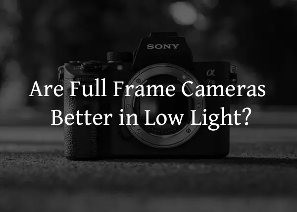 Are Full Frame Cameras Better in Low Light?