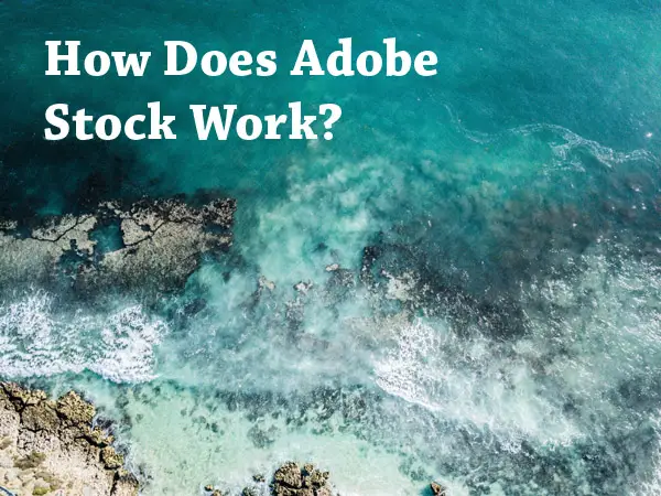 How Does Adobe Stock Work: Successfully Selling Your Photos