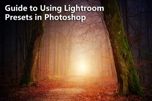 Ultimate Guide to Using Lightroom Presets in Photoshop