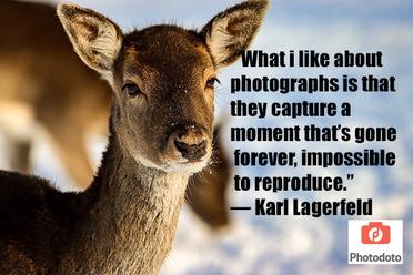 100 Famous Inspirational Photography Quotes