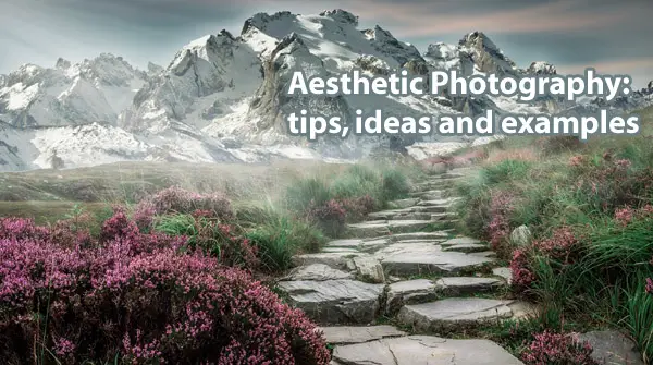 Aesthetic Photography: Tips, Ideas and Examples