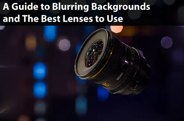 A Guide to Blurring Backgrounds and Best Lenses to Use - Photodoto