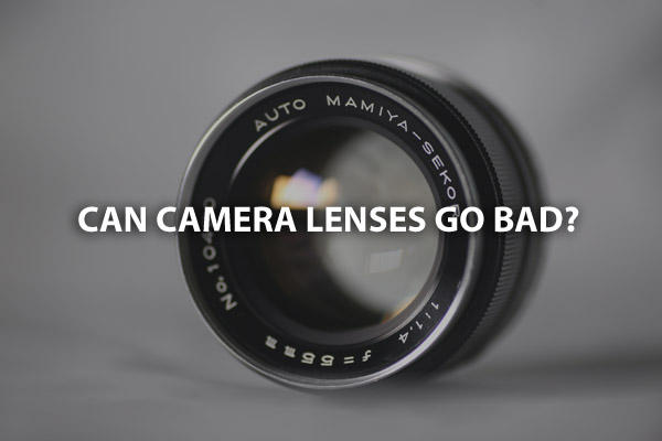 Can Camera Lenses Go Bad? Camera Lens Shelf Life Explained