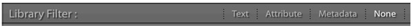 Filter bar in Lightroom