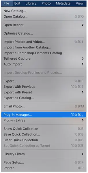 Lightroom plugin manager