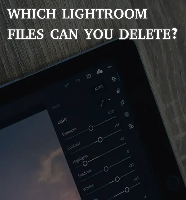 You Can Delete These Lightroom Files to Clean Up and Make Room