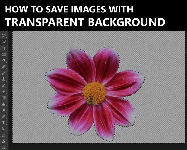 How to Save Transparent Background in Photoshop? The Easy Way