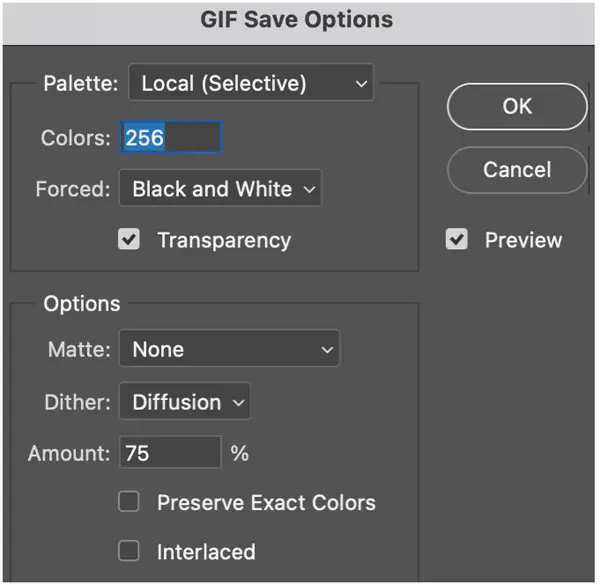 GIF save options window