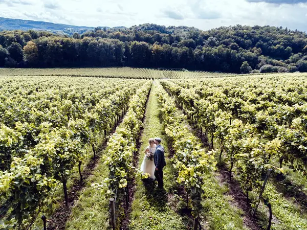 drone over wedding couple in winery