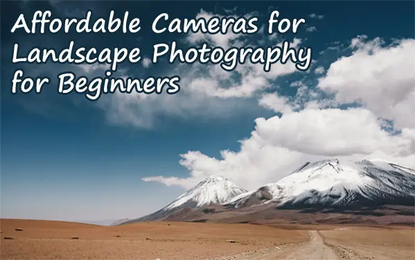 5 Best Affordable Cameras for Landscape Photography for Beginners