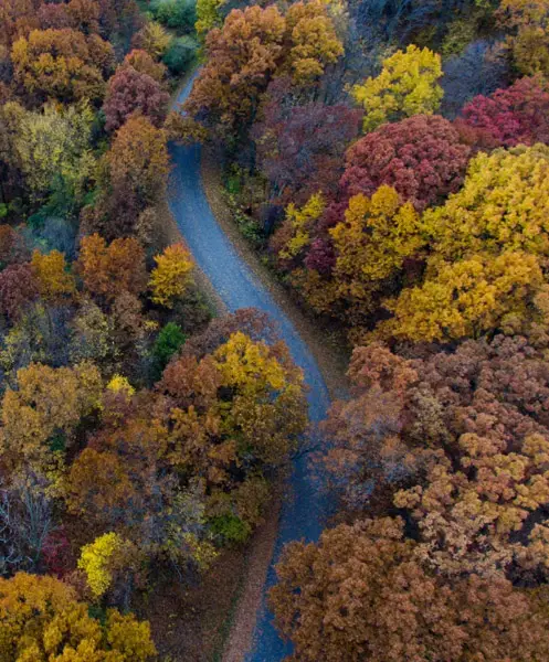 Contrast in drone photo