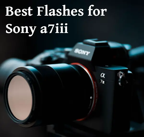 Best Flashes for Sony a7iii, Even on a Budget