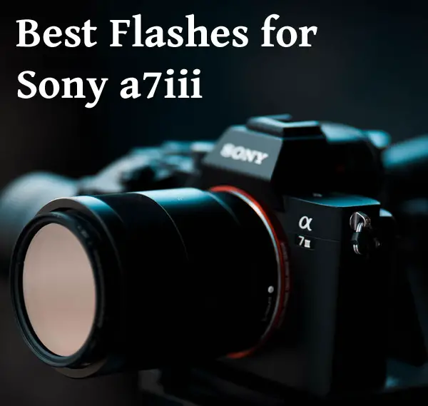 Sony a7iii camera