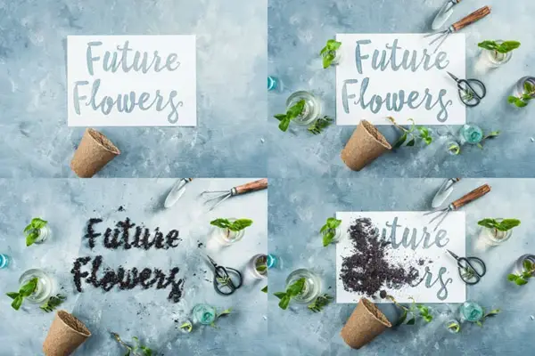 Typography step by step