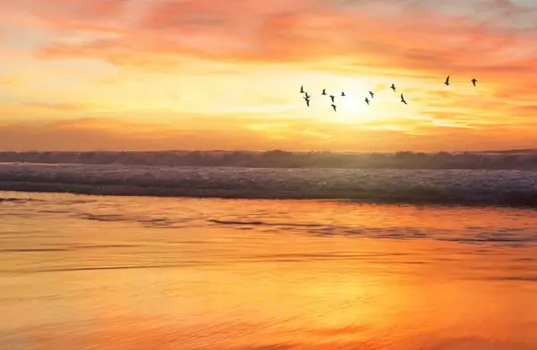 golden hour over ocean