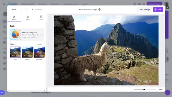 Canva background remover tool